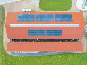 Mehrhäusiger Kompoststall für Milchvieh