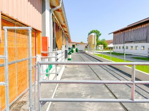 Milchviehstall mit Roboter