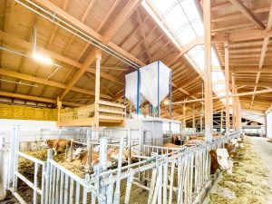 Umbau und Anbau an einen bestehenden Milchviehstall von landplan.bayern