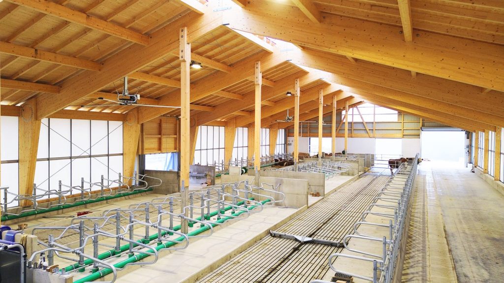 Milchviehstall Innen