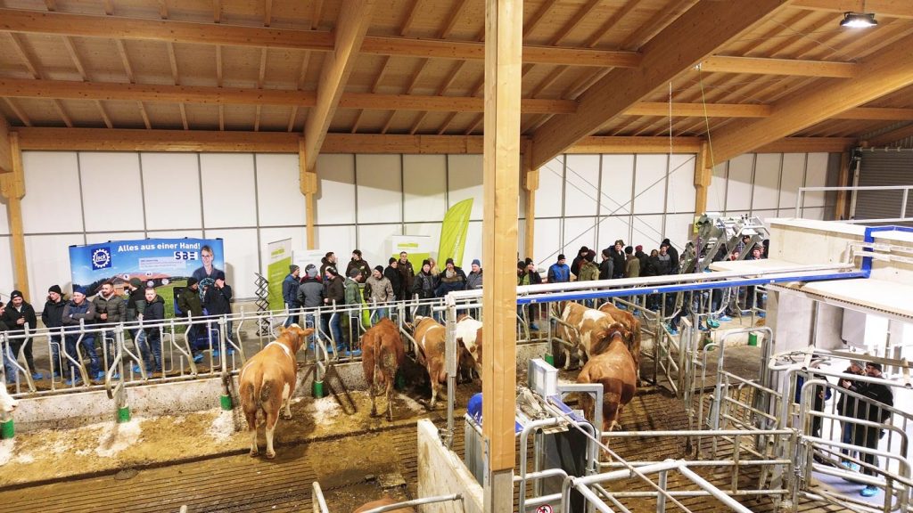 Live Besichtigung des Milchviehstalls